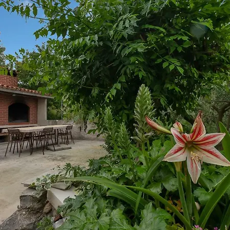 Tihana Appartamento Makarska